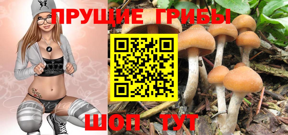 наркотики  Вход с VPN  Дзержинский  Галлюциногенные грибы GOLDEN TEACHER 