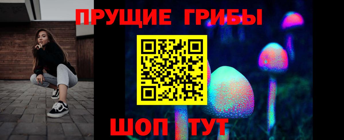 Псилоцибиновые грибы мицелий Дзержинский
